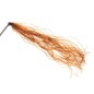FIL ELASTIQUE Corflex Extra Fin FIL ELASTIQUE Corflex Extra Fin