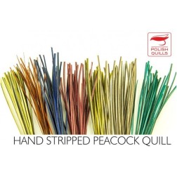 Quill de paon ébarbé