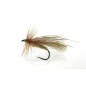 Sedge Sedge