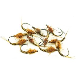 Baetis en quill