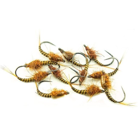 Baetis en quill