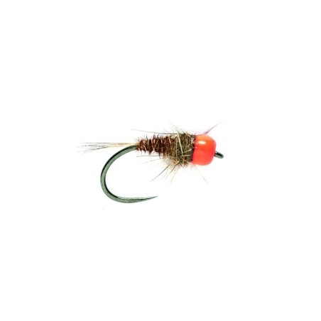 Nymphe tête orange
