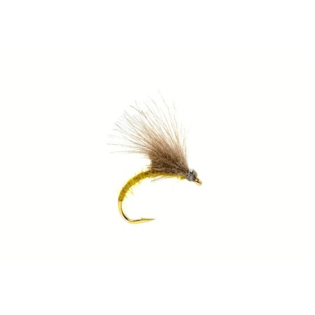Emergente olive