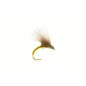 Emergente olive