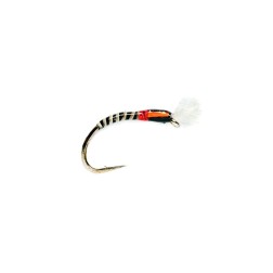 Chiro Buzzer quill noir