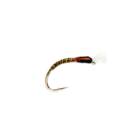 Chiro Buzzer quill olive