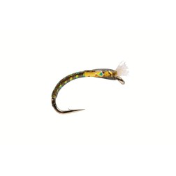 Chiro Buzzer olive foncé