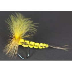 Mouche de mai