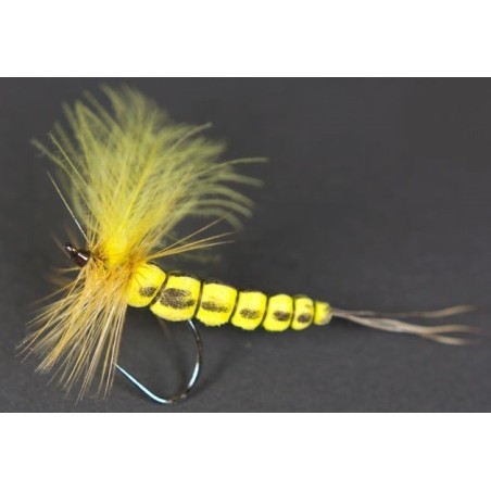 Mouche de mai