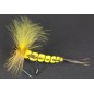 Mouche de Mai
