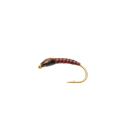 Nymphe quill rouge tête noire joues orange