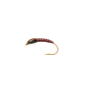 Nymphe quill rouge tête noire joues orange
