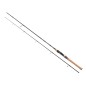 Canne Diabolo Fury 180 (Balzer) Canne Diabolo Fury 180 (Balzer)
