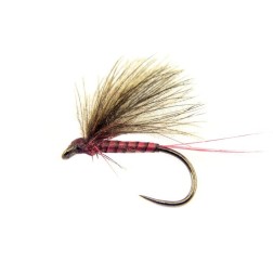 BWO Pourpre
