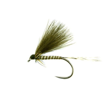 BWO Cul de canard