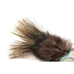 Plume Pardo 6€