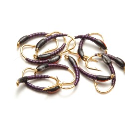 Nymphe quill pourpre tête noire rabat orange