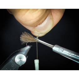 Ciseaux haut de gamme Renomed Super Stinger