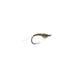 Baetis en quill