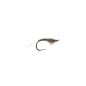 Baetis en quill
