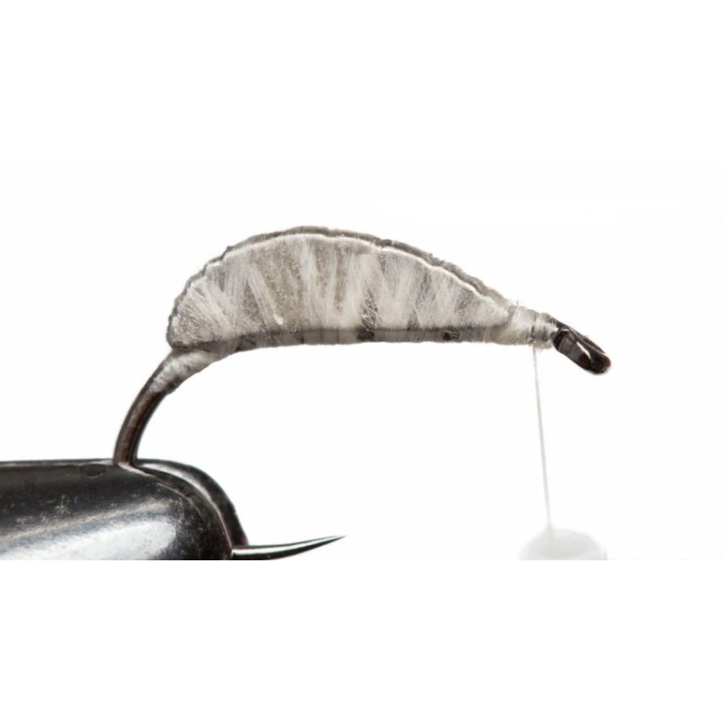 Dos de gammare tungsten