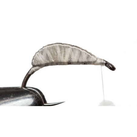 Dos de gammare tungsten