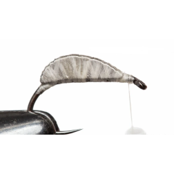 Gammare tungsten