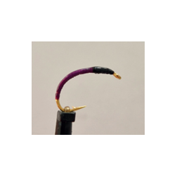 Gambe 5 nymphes violettes tête noire