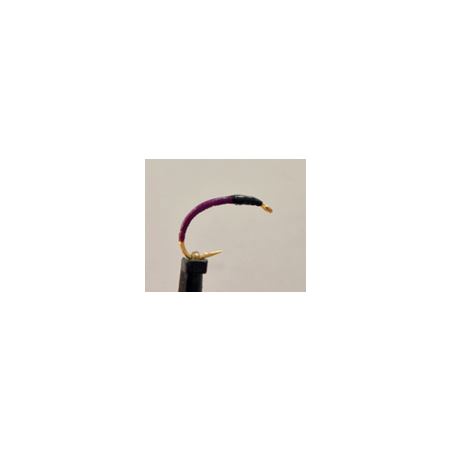 Gambe 5 nymphes violettes tête noire