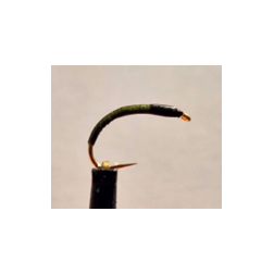 Gambe 5 nymphes vert foncé tête noire
