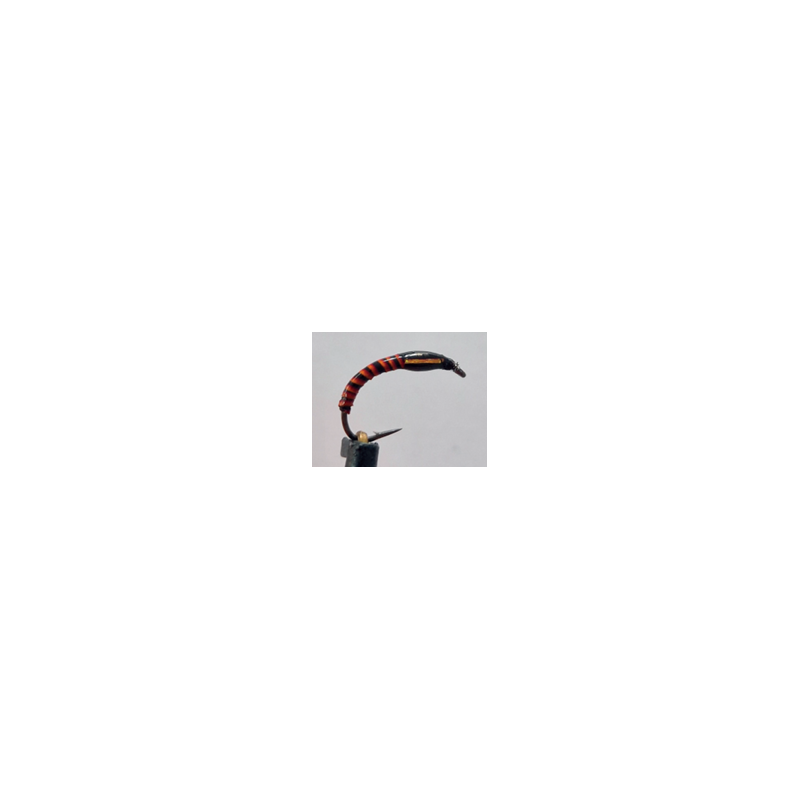 Gambe 5 nymphes quill rouge ouies cuivre