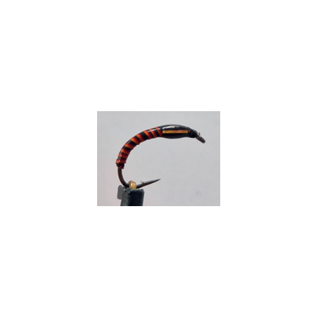 Gambe 5 nymphes quill rouge ouies cuivre