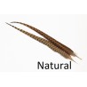 Plume de queue de faisan