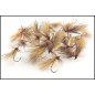 Sedge Sedge