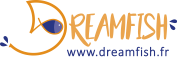 Dreamfish